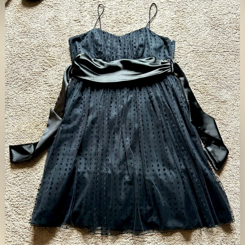 Jimmylee Dress